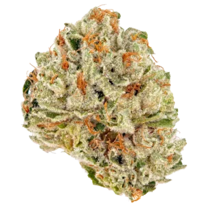Tangerine